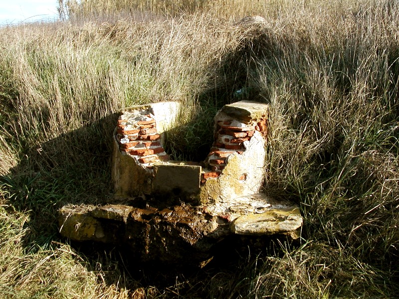 Fontanili della Toscana